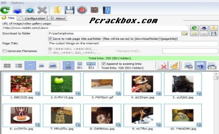 Bulk Image Downloader Crack Full Version